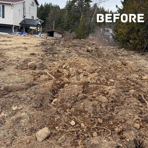 Yard before grading