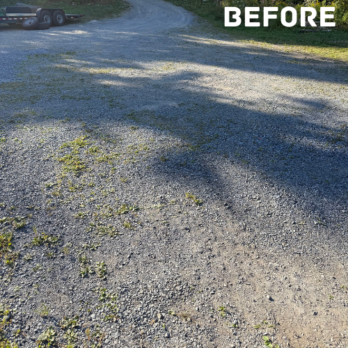 Driveway before regrading
